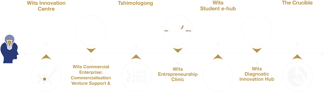 Wits Innovation Ecosystem Timeline